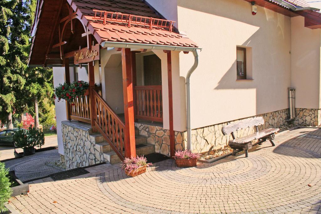 Willa Ostoja Świeradów-Zdrój Exterior foto
